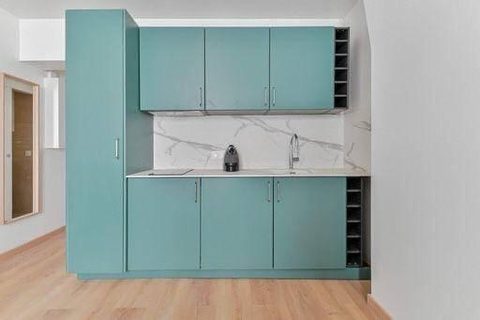Rénovation salon avec espace cuisine à Paris 18e